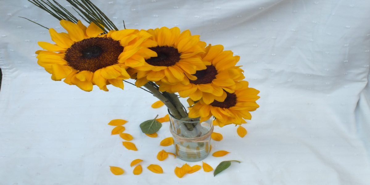 Florero Fiona