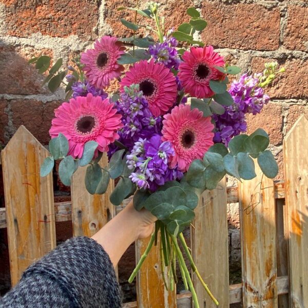Ramo 5 Gerberas y 5 Alelíes