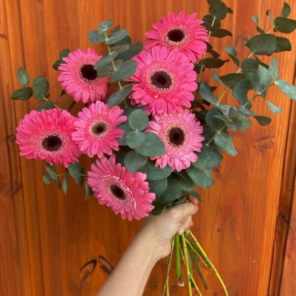 Ramo con 7 Gerberas - Eucalipto