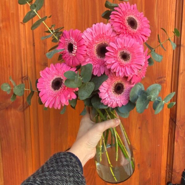 Florero con 7 Gerberas - Eucalipto